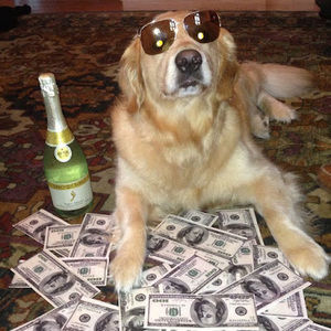 Meet your Posher, Paige